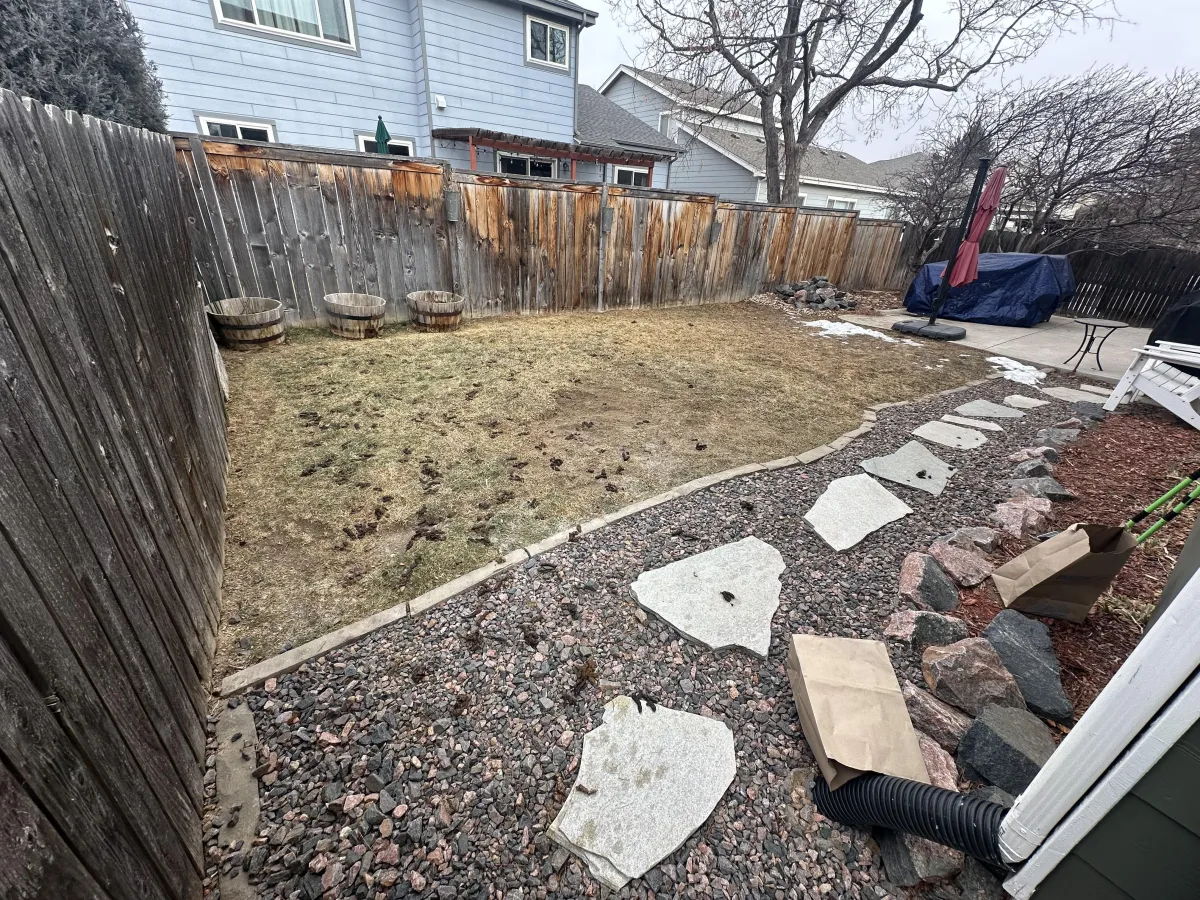 Yard with lots of dog poop before Dirty Duty cleaned the yard.