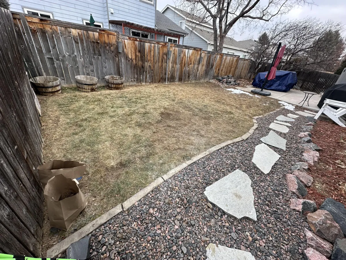 Yard with no dog poop after Dirty Duty cleaned the yard.
