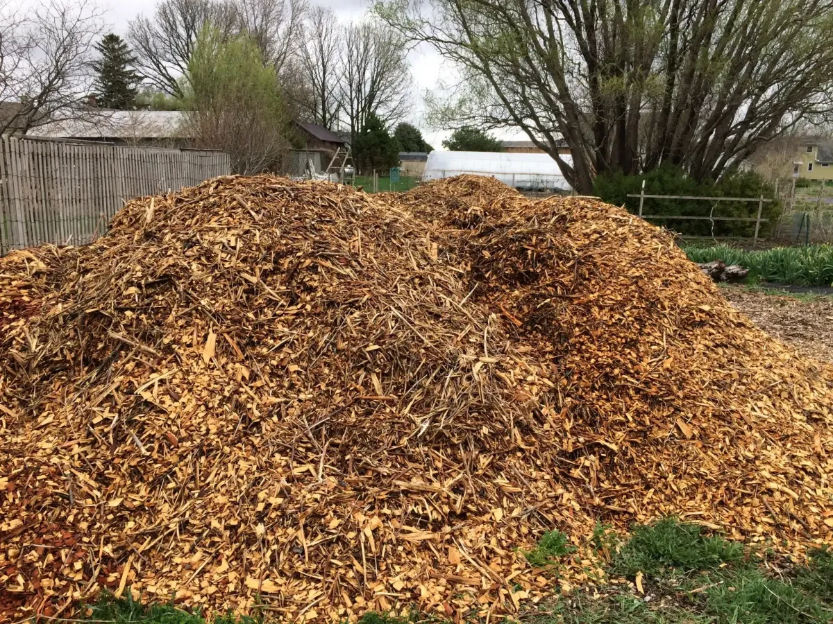 Woodchips Jackson Michigan