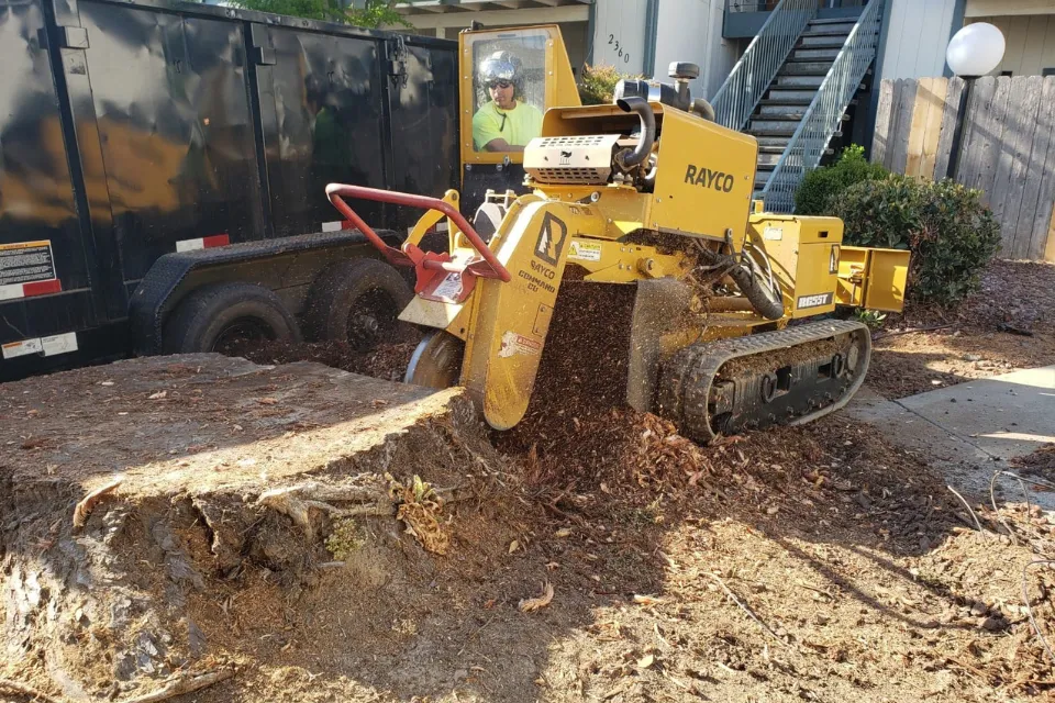 stump grinding mobile