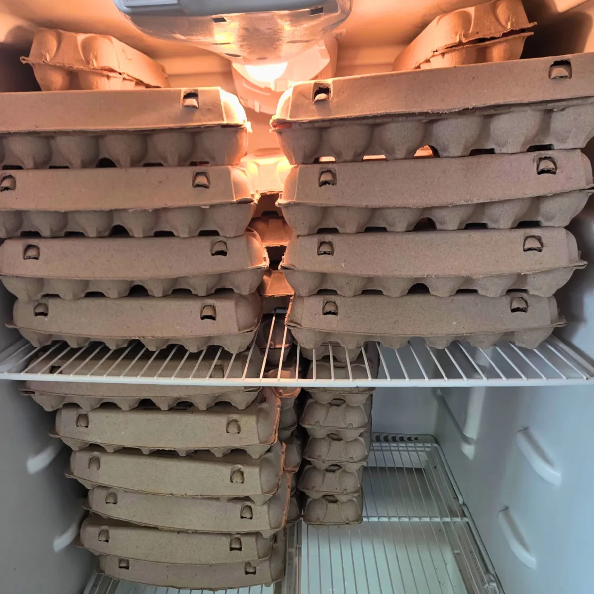 Pasture raised eggs for delivery in Dallas Fort Worth Texas