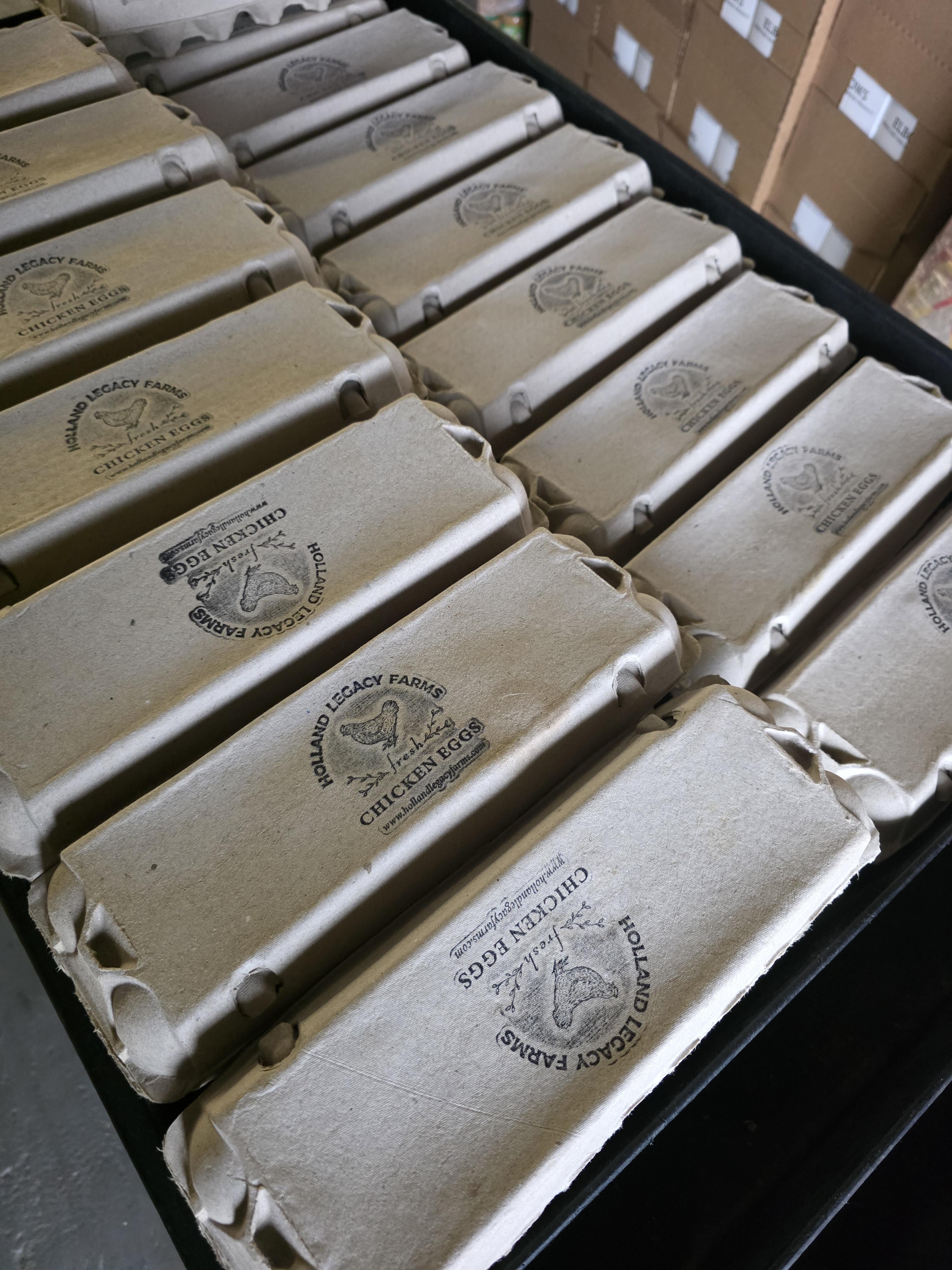 Donating pasture-raised eggs to local food pantry in Paris Texas