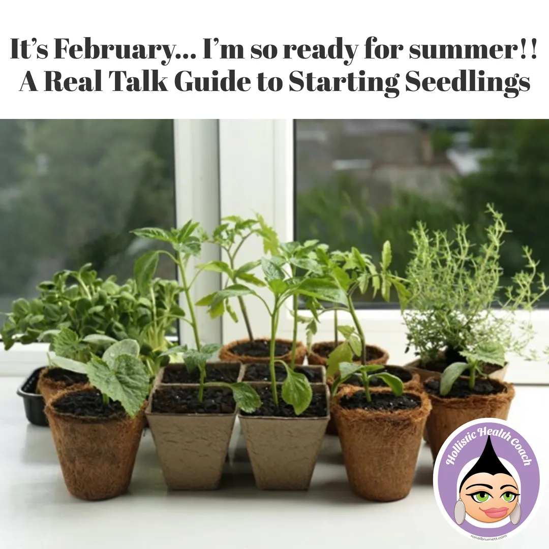 It’s February… I’m so ready for summer!! A Real Talk Guide to Starting Seedlings