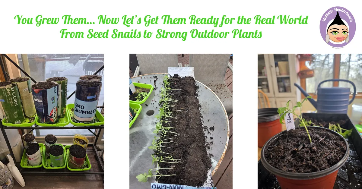 You Grew Them… Now Let’s Get Them Ready for the Real World From Seed Snails to Strong Outdoor Plants