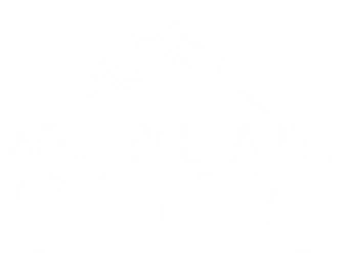 Wesley Chapel Siding Logo