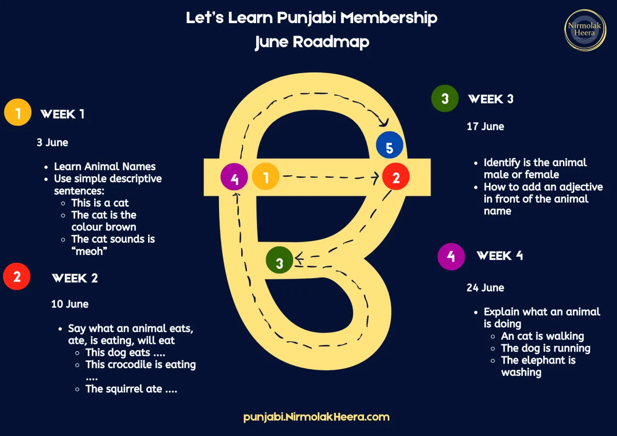 Punjabi language learning resources