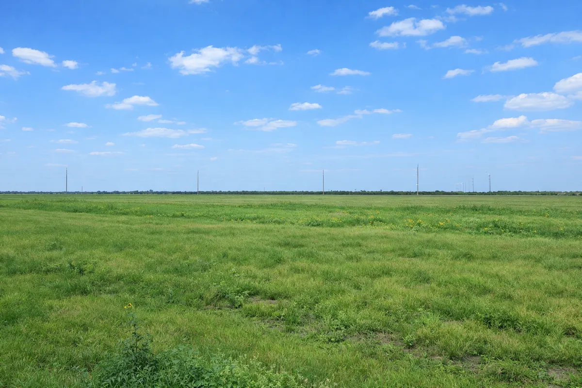 Open grassland with power lines on 10-acre land at Rancho La Vista near La Feria, Texas
