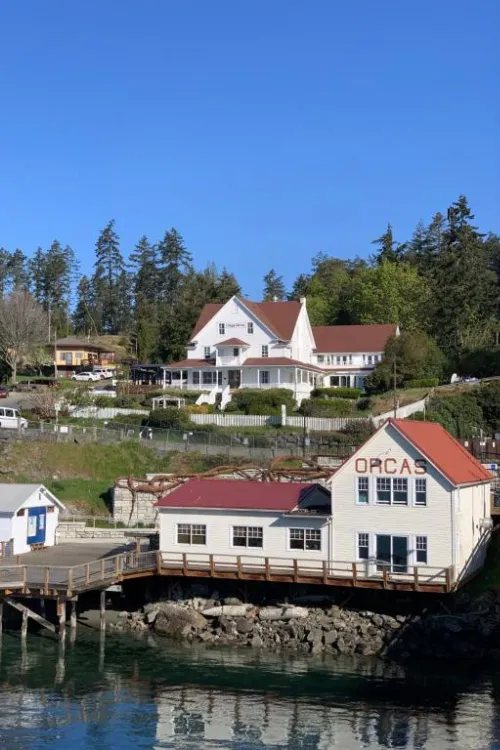Modern bathroom renovation project in San Diego