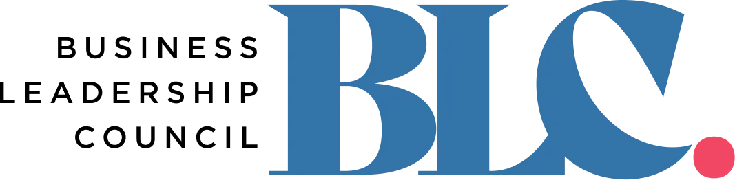 insured drone services