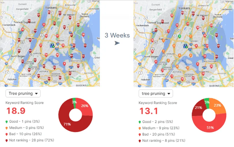 Tree Service Map Rankings Case Study 3 - KC Digital