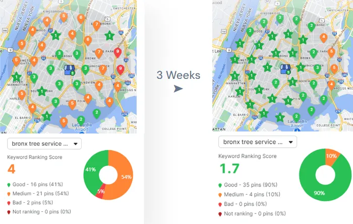 Tree Service Map Rankings Case Study 2 - KC Digital