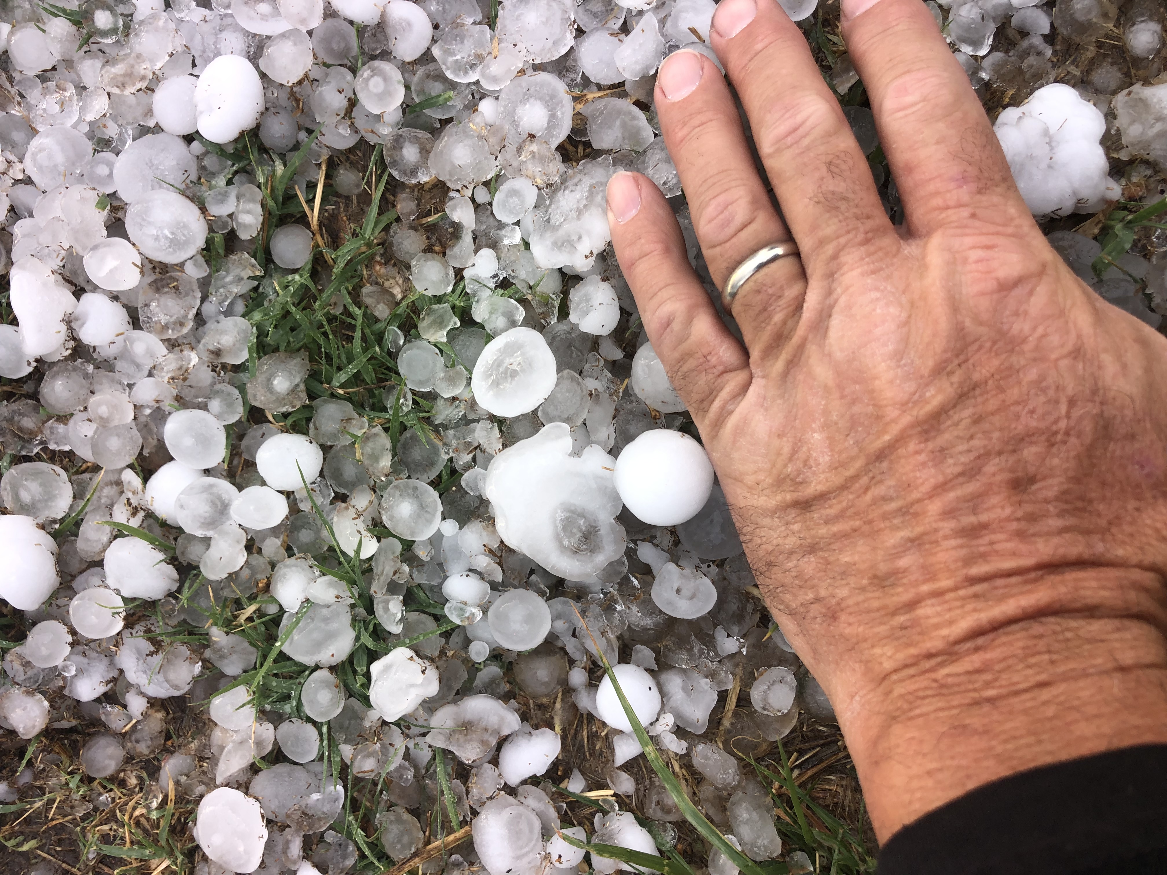 Hail Damage?