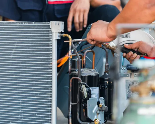 {{ custom_values.service_1 }} in {{custom_values.biz_area_1})