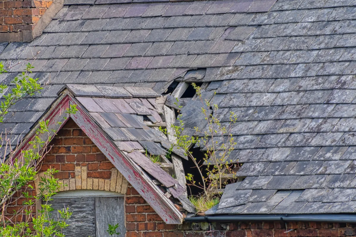 Florida best slate roofing lead generation and appointment setting service