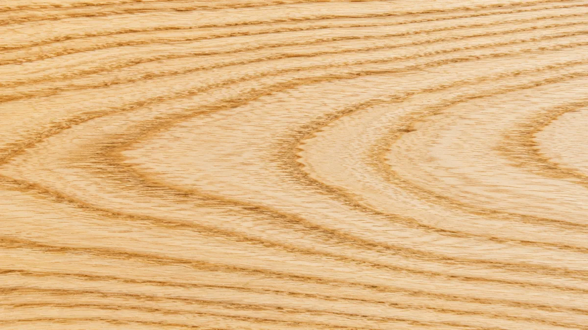 Macro wood grain of Ash