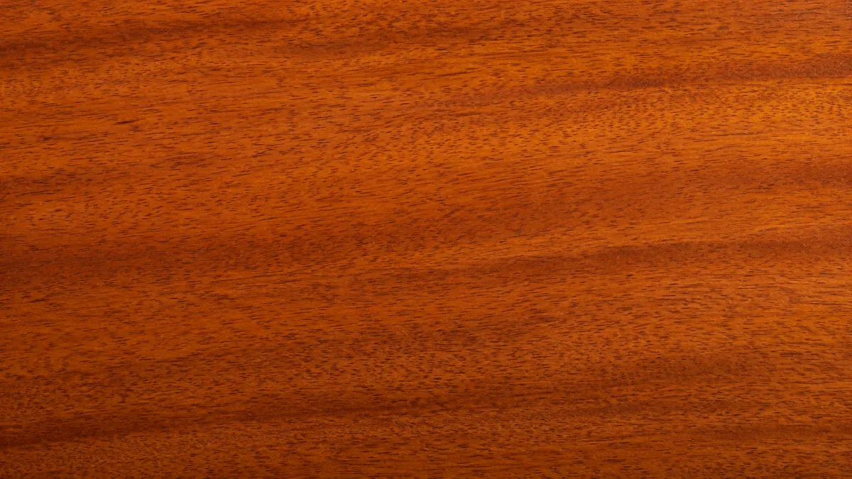 Macro wood grain of African Mahogany