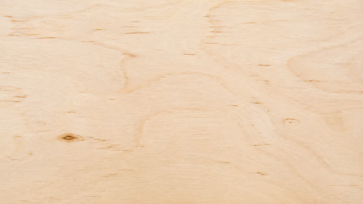 Macro wood grain of Birch