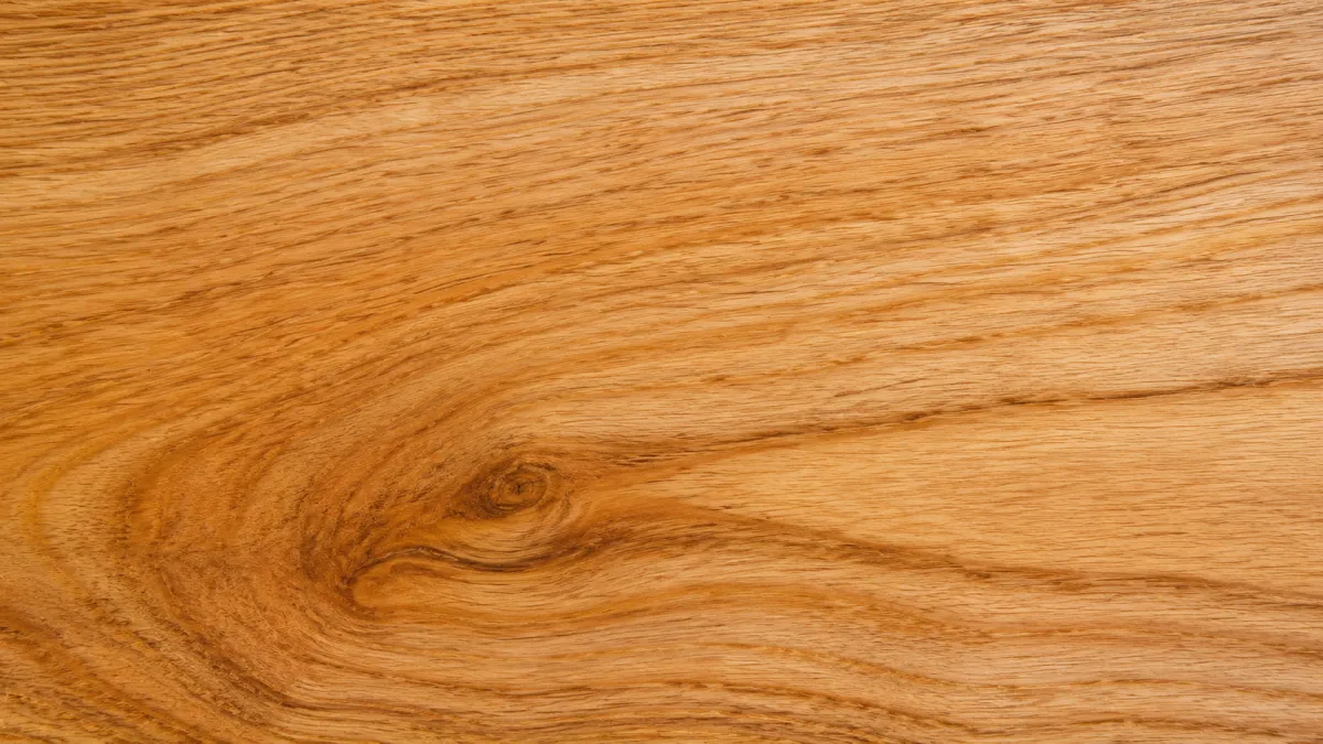 Macro wood grain of Bald Cypress