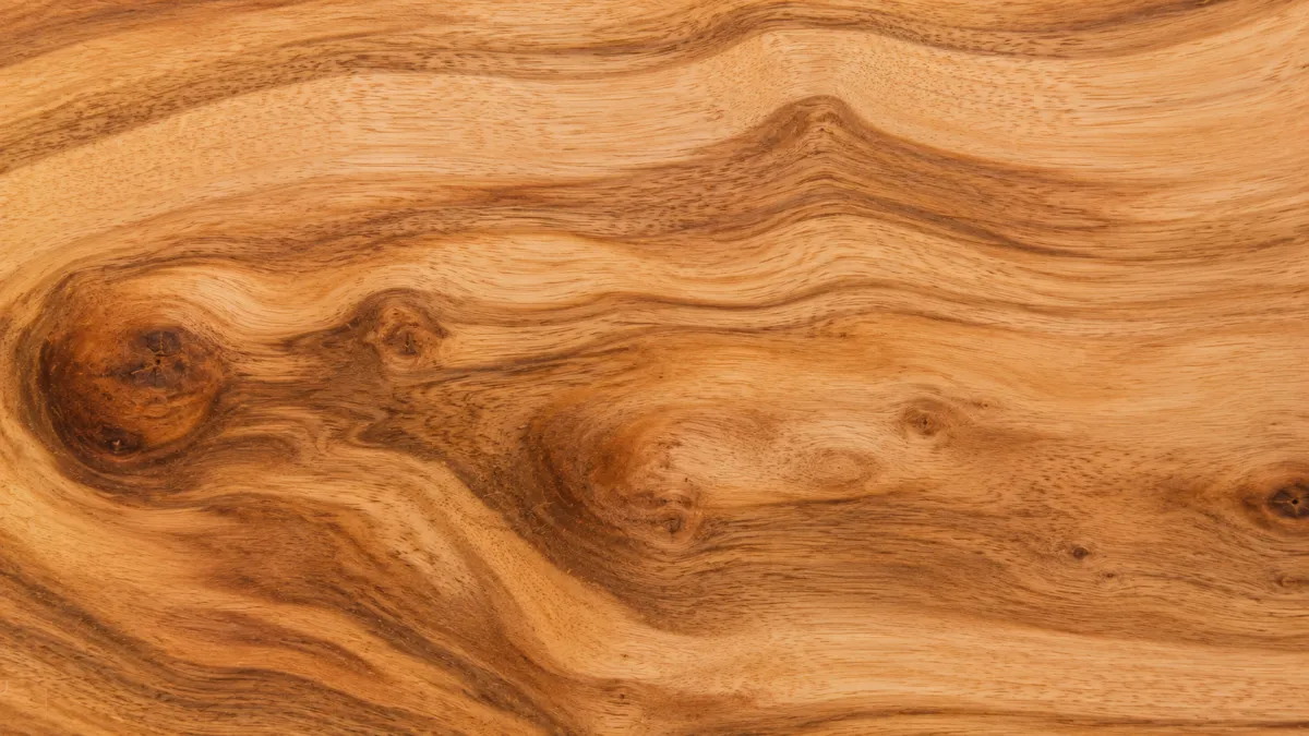 Macro wood grain of Camphor Laurel