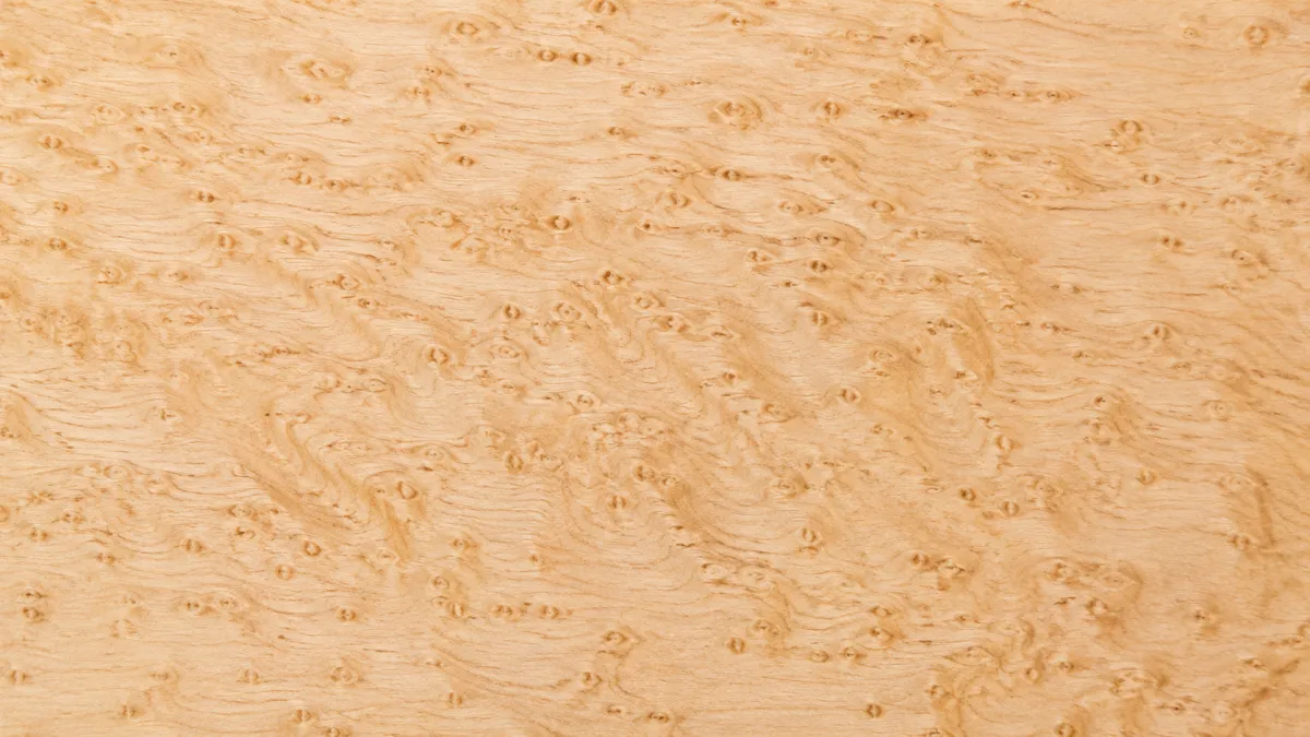 Macro wood grain of Ash
