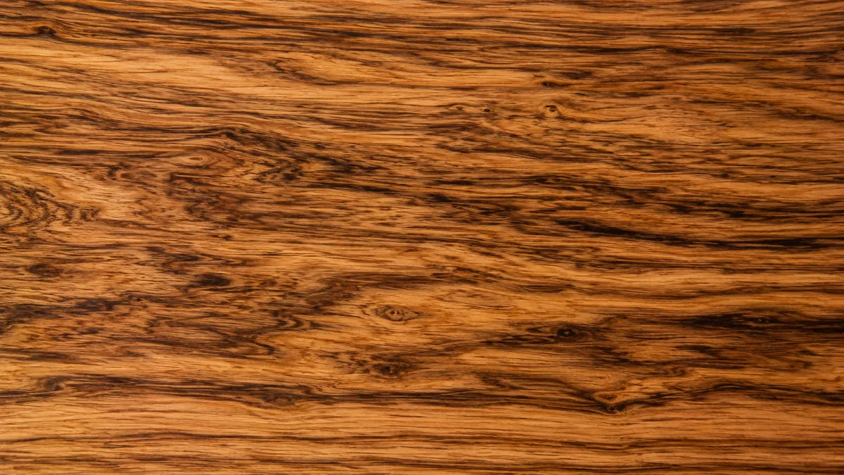 Macro wood grain of Birch
