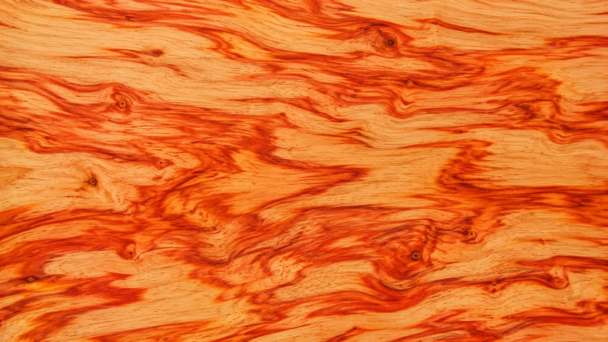 Macro wood grain of Ash