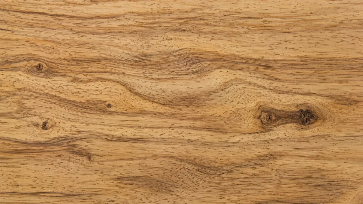 Macro wood grain of Walnut