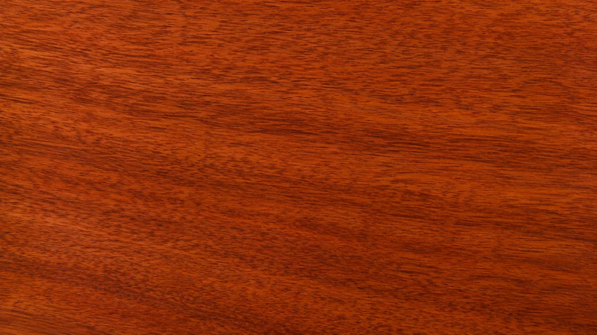 Macro wood grain of Walnut