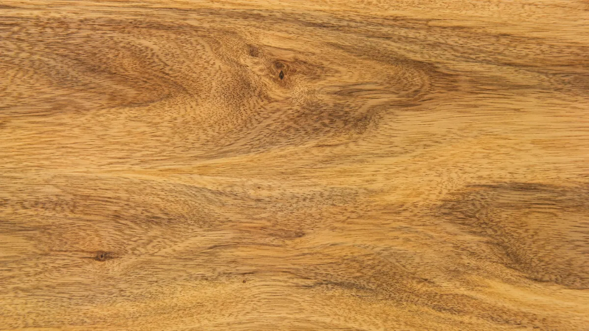 Macro wood grain of Ash