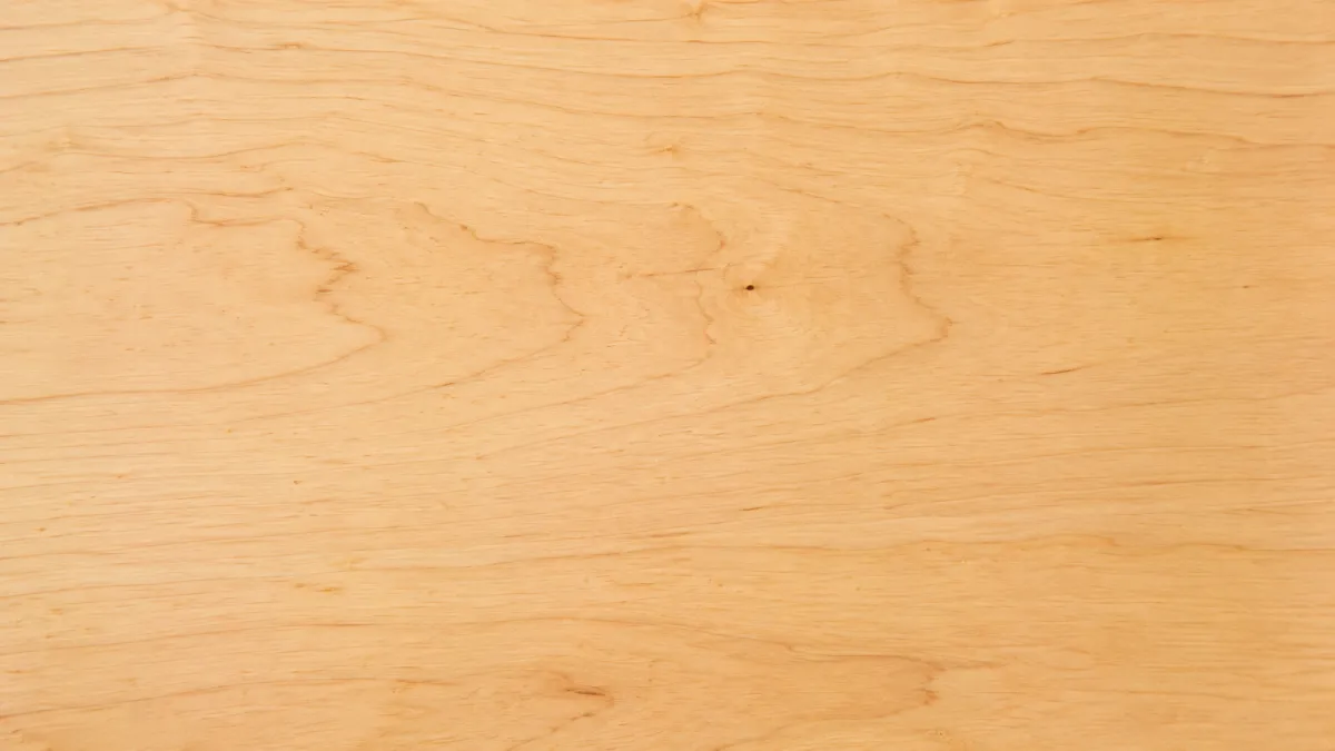 Macro wood grain of Birch