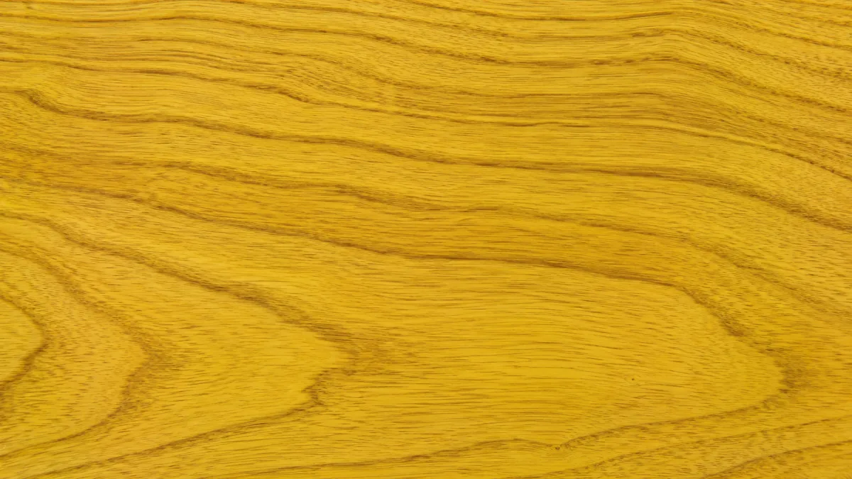 Macro wood grain of Walnut