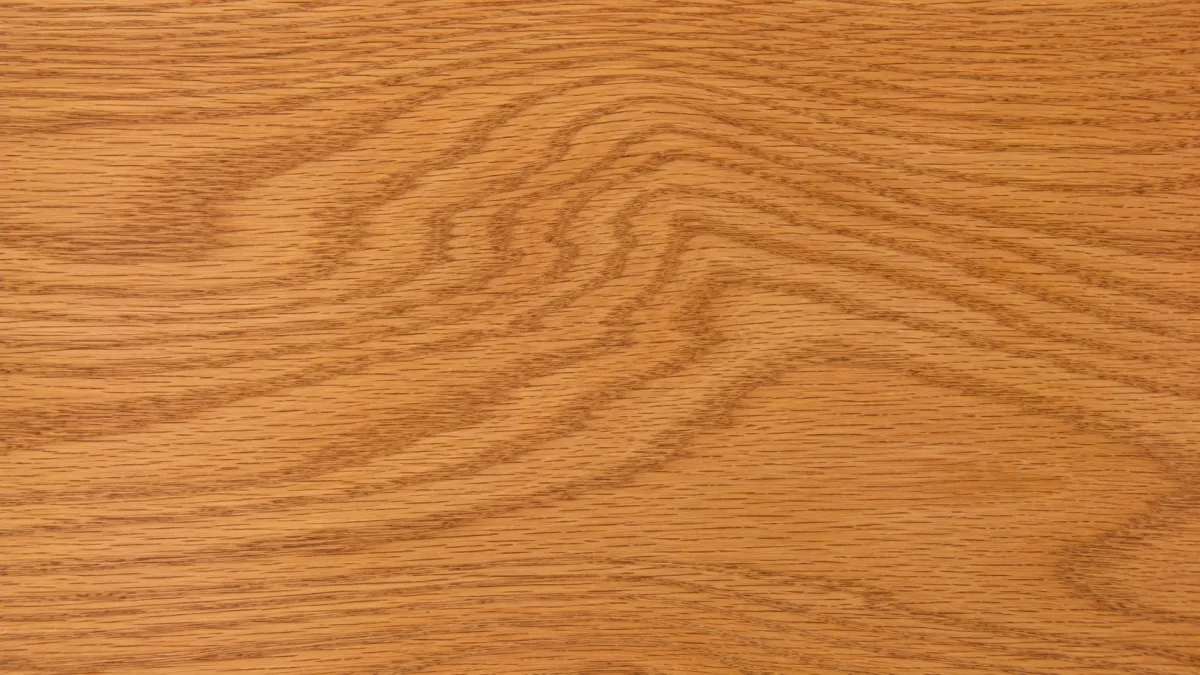 Macro wood grain of Ash
