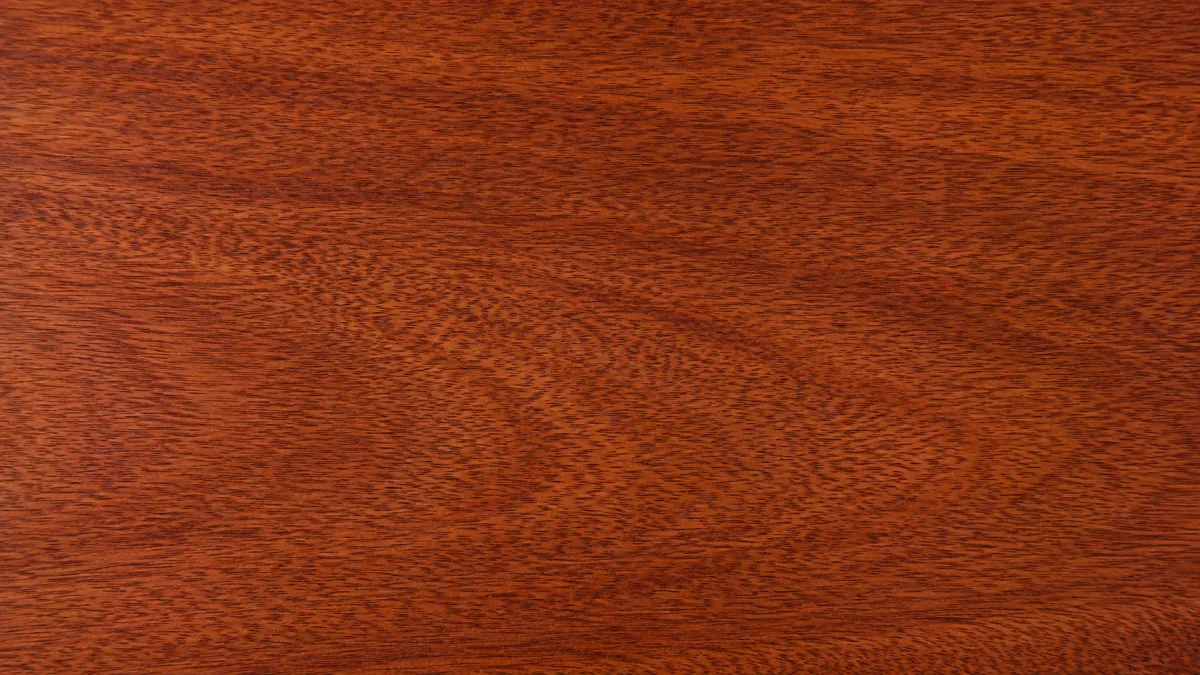 Macro wood grain of Walnut