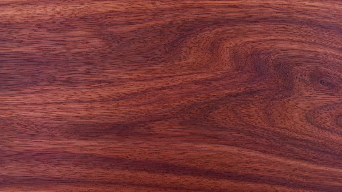 Macro wood grain of Birch