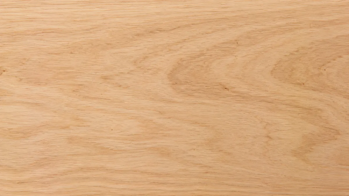 Macro wood grain of Walnut