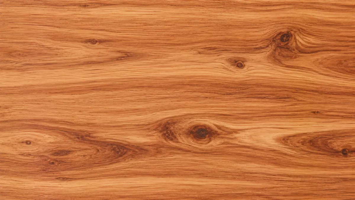Macro wood grain of Walnut