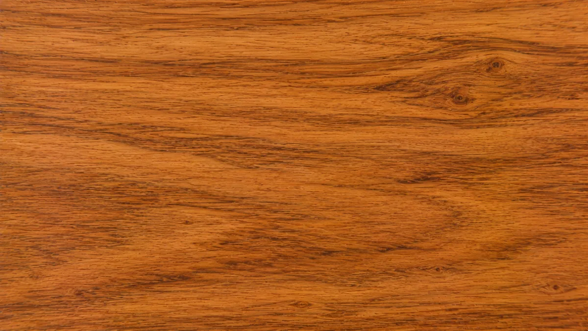Macro wood grain of Ash