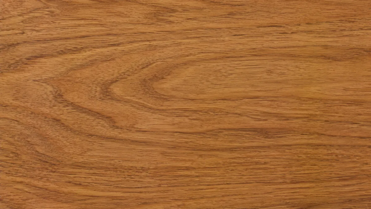 Macro wood grain of Birch