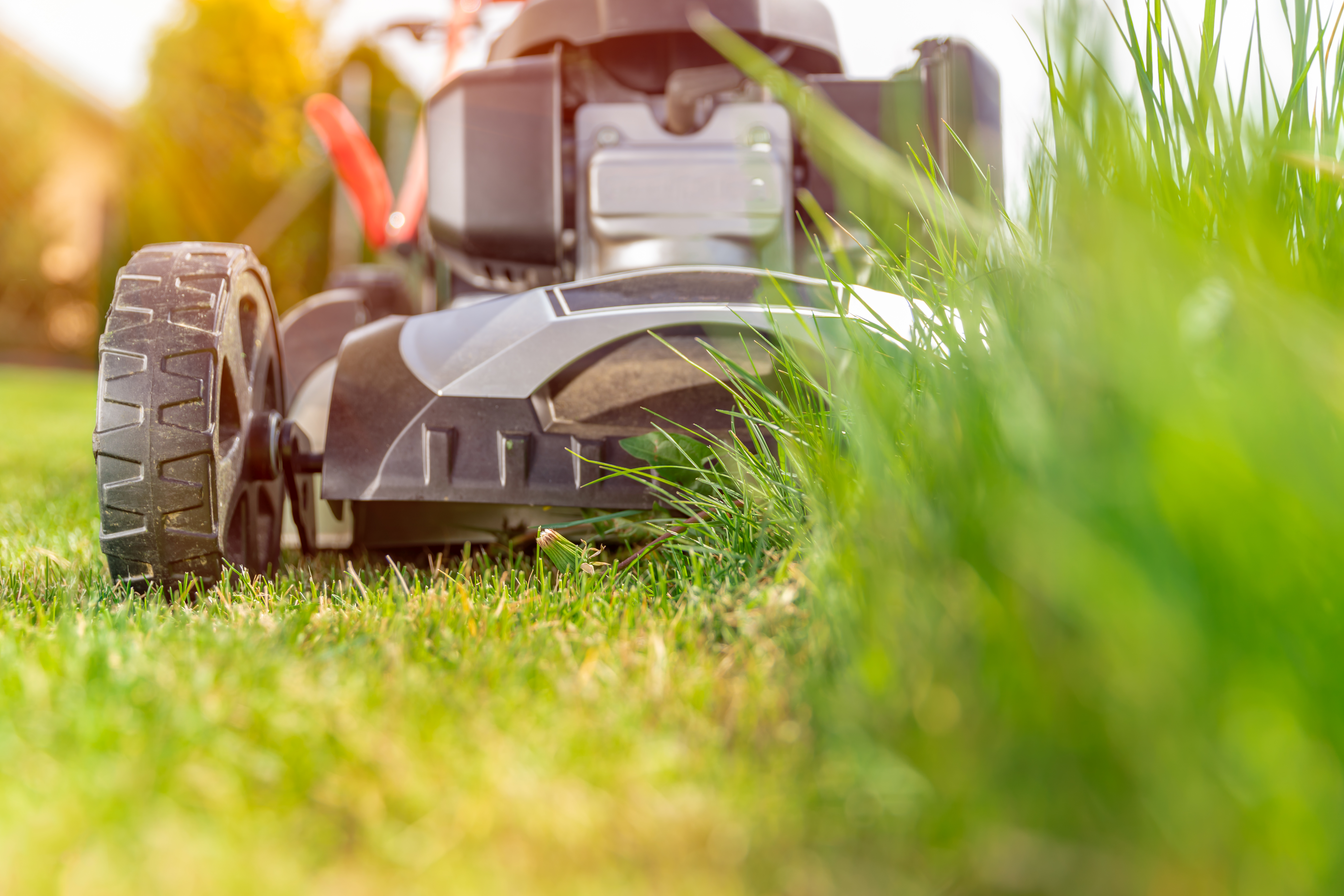 lawn mower cutting down grass in collin county texas
