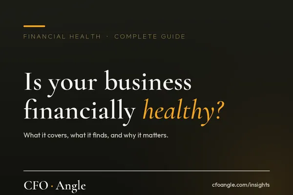 Financial Health Check Up for Indian SMEs and startups CFO Angle guide