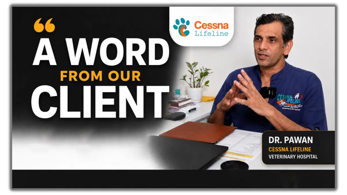 Cessna Lifeline and CFO Angle veterinary group financial turnaround case study