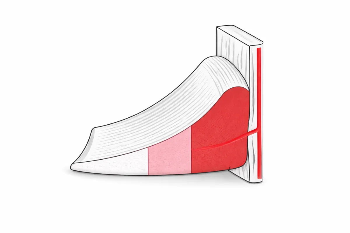 Illustrazione medica del menisco in sezione, con evidenziazione delle diverse zone vascolarizzate (periferica più ricca di sangue e zona centrale meno vascolarizzata), utile per spiegare la capacità rigenerativa meniscale.