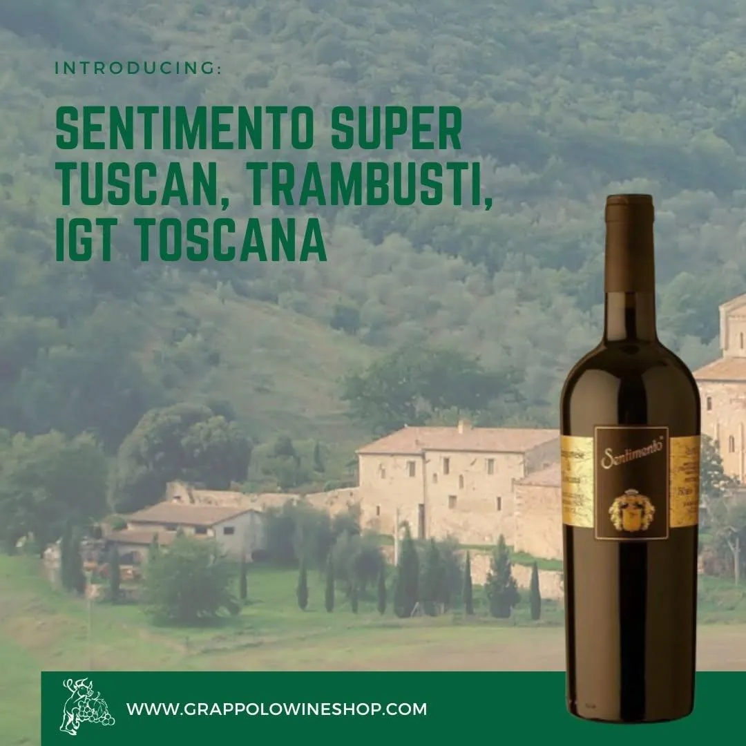 Barolo Piemonte Italian Wine