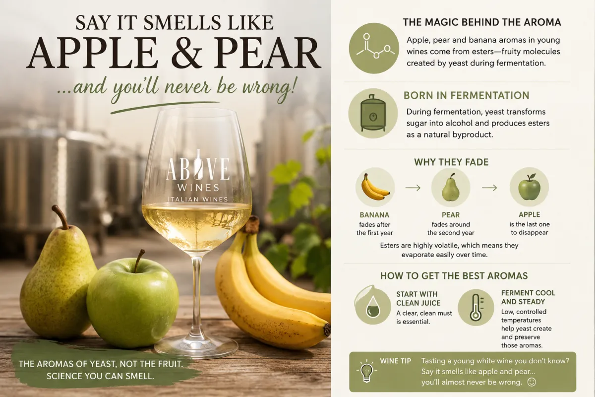 white wine apple pear