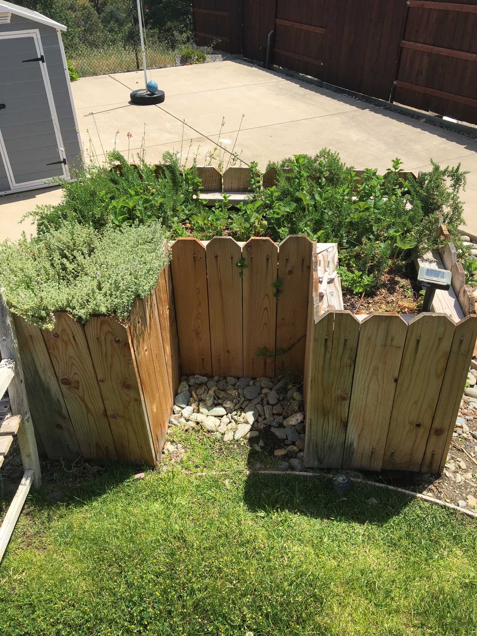 Raised wooden herb garden bed in a Redding CA landscaping project with edible planting and surrounding lawn by Outdoor Artisans