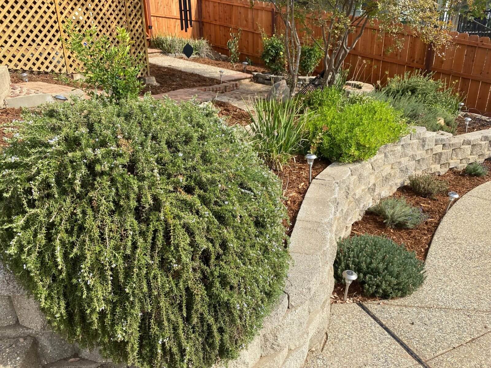 Curved garden retaining wall in Redding, CA with planting bed and block wall construction