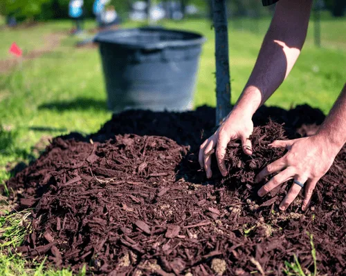 New Richmond Mulch Installation