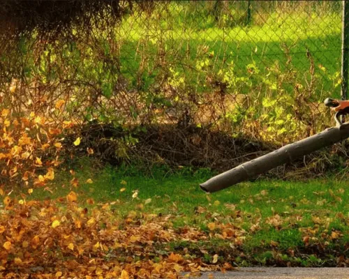 Landscaping & Lawn Care Services Batavia