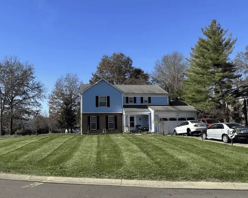 {{ custom_values.service_1 }} in {{custom_values.biz_area_1})