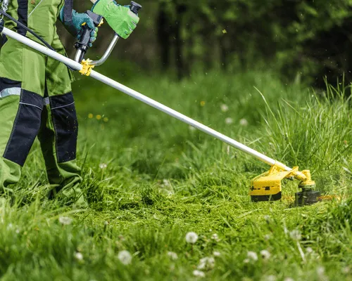 Spring & Fall Leaf Clean-Up Batavia